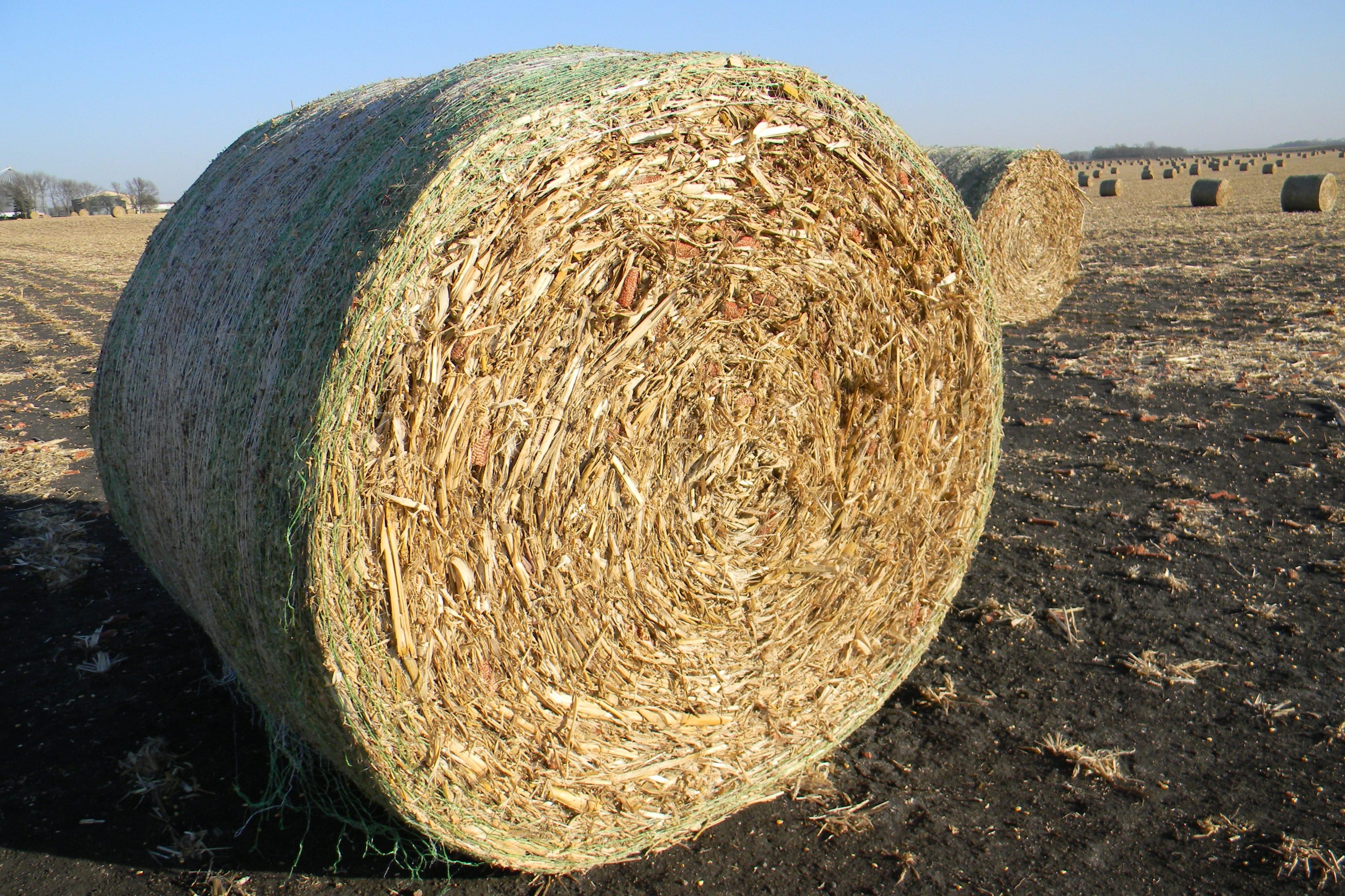 Round Bale in Field